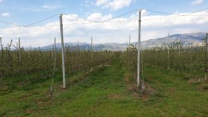 NEWBIE Discussion Circle in Kyustendil
