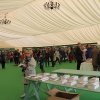 img_8601